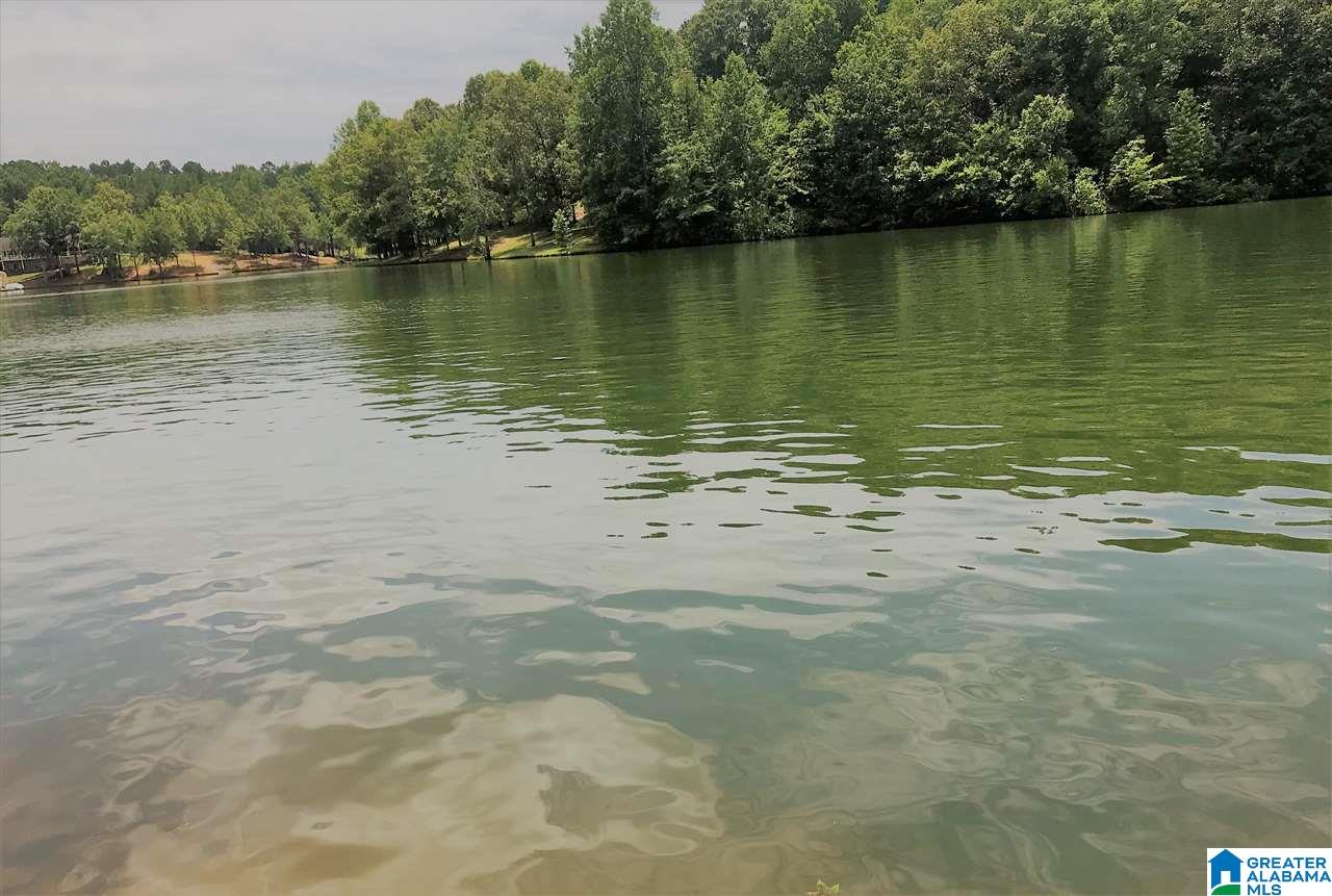 2811 County Road Lineville, AL 36266 - Photo 5 of 8