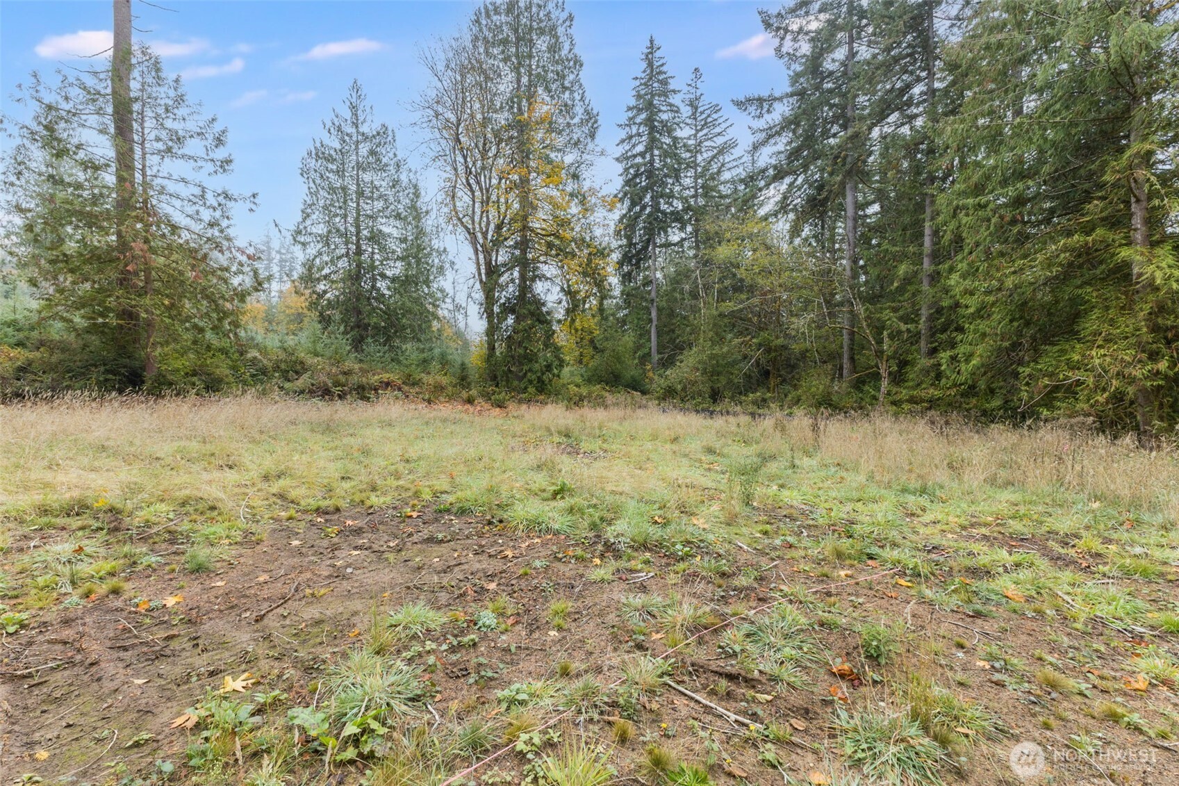 16456 Hoff Road Northwest Lakebay, WA 98349 - Photo 9 of 15