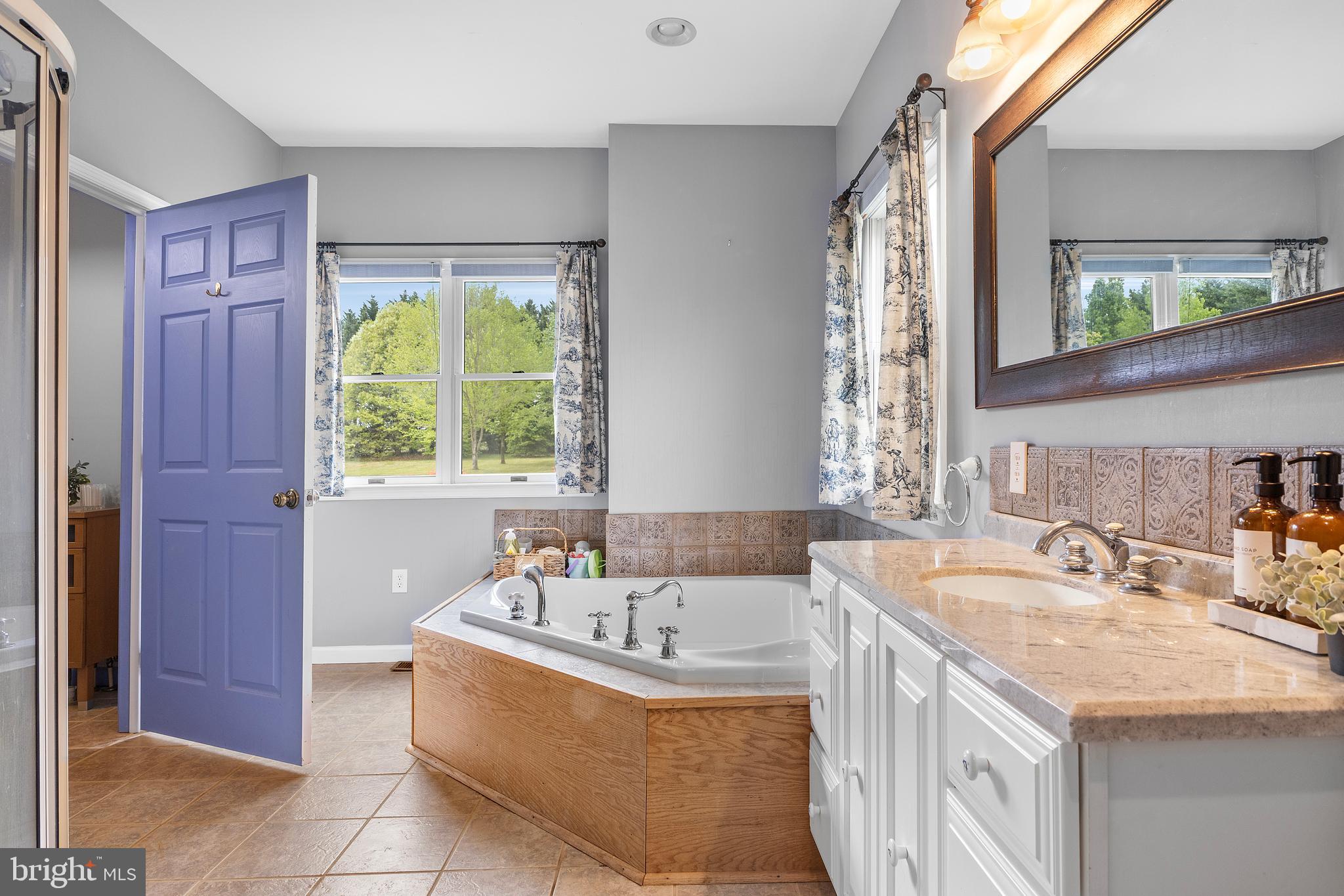143 Clemencia Road Earleville, MD 21919 - Photo 24 of 62 Primary bedroom 1 soaking tub