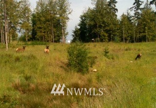 83 Todd Road Port Ludlow, WA 98365 - Photo 5 of 14 Gallery Image 5