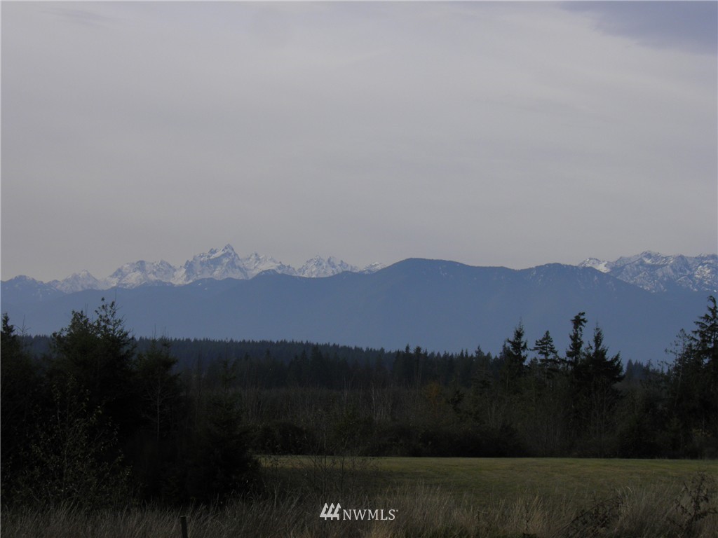83 Todd Road Port Ludlow, WA 98365 - Photo 8 of 14 Gallery Image 8