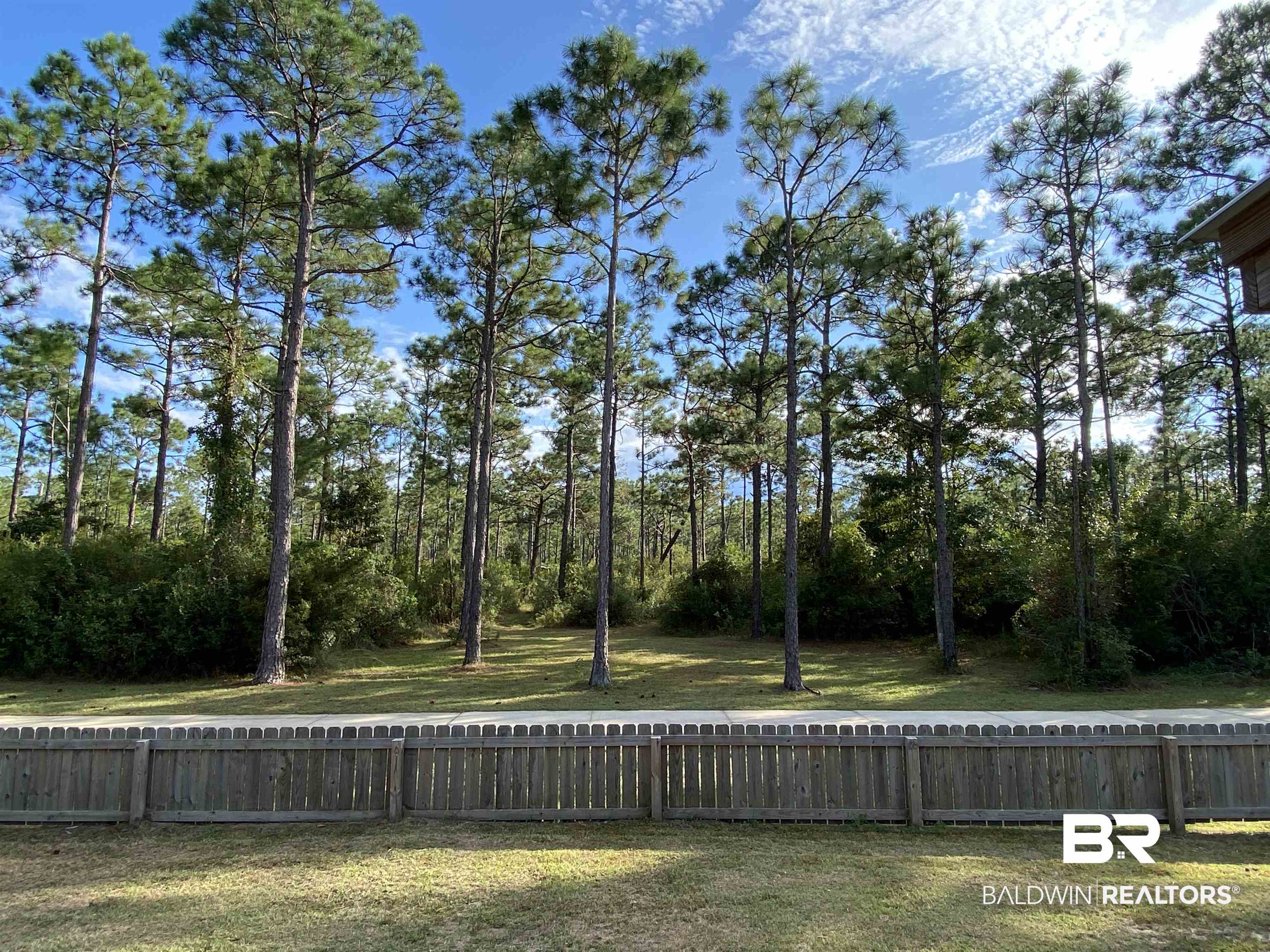 24610 Tarpon Lane Orange Beach, AL 36561 - Photo 29 of 31 Back yard View