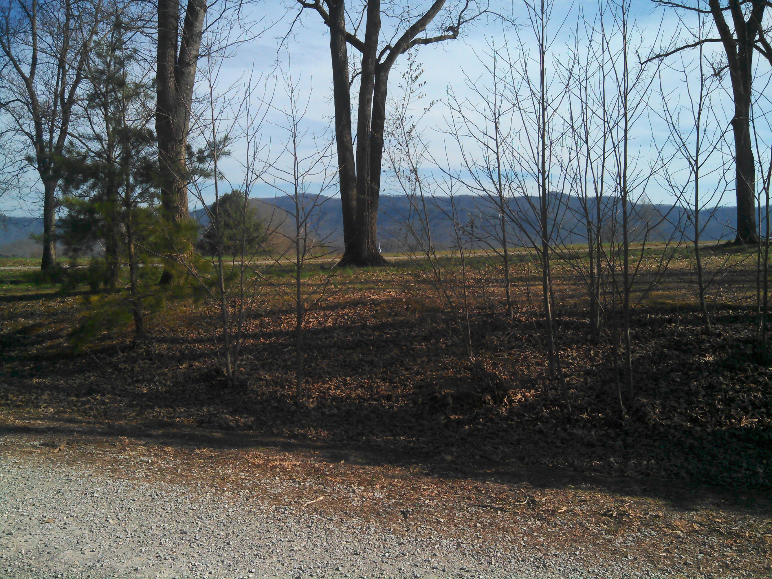 Mountain View from the Lot