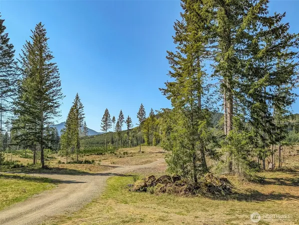 $500,000 | 0 Craig Road, Unit LOT B3, Packwood, WA 98361
