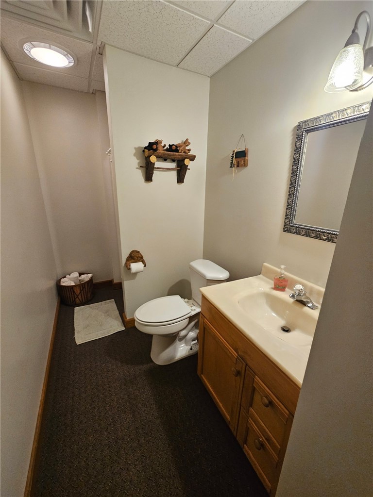 351 Clancy Road Greenwood, NY 14806 - Photo 28 of 50 Gallery Image 28