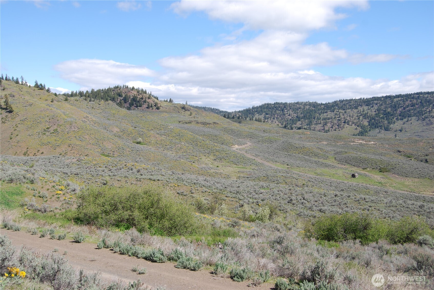 0 Lower White Road Oroville, WA 98844 - Photo 3 of 15 a view of a dry yard with mountains in the background