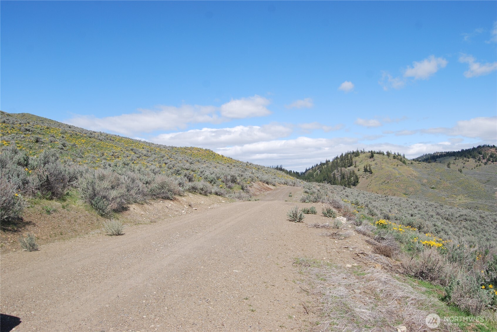 0 Lower White Road Oroville, WA 98844 - Photo 9 of 15 a view of a road with mountain view