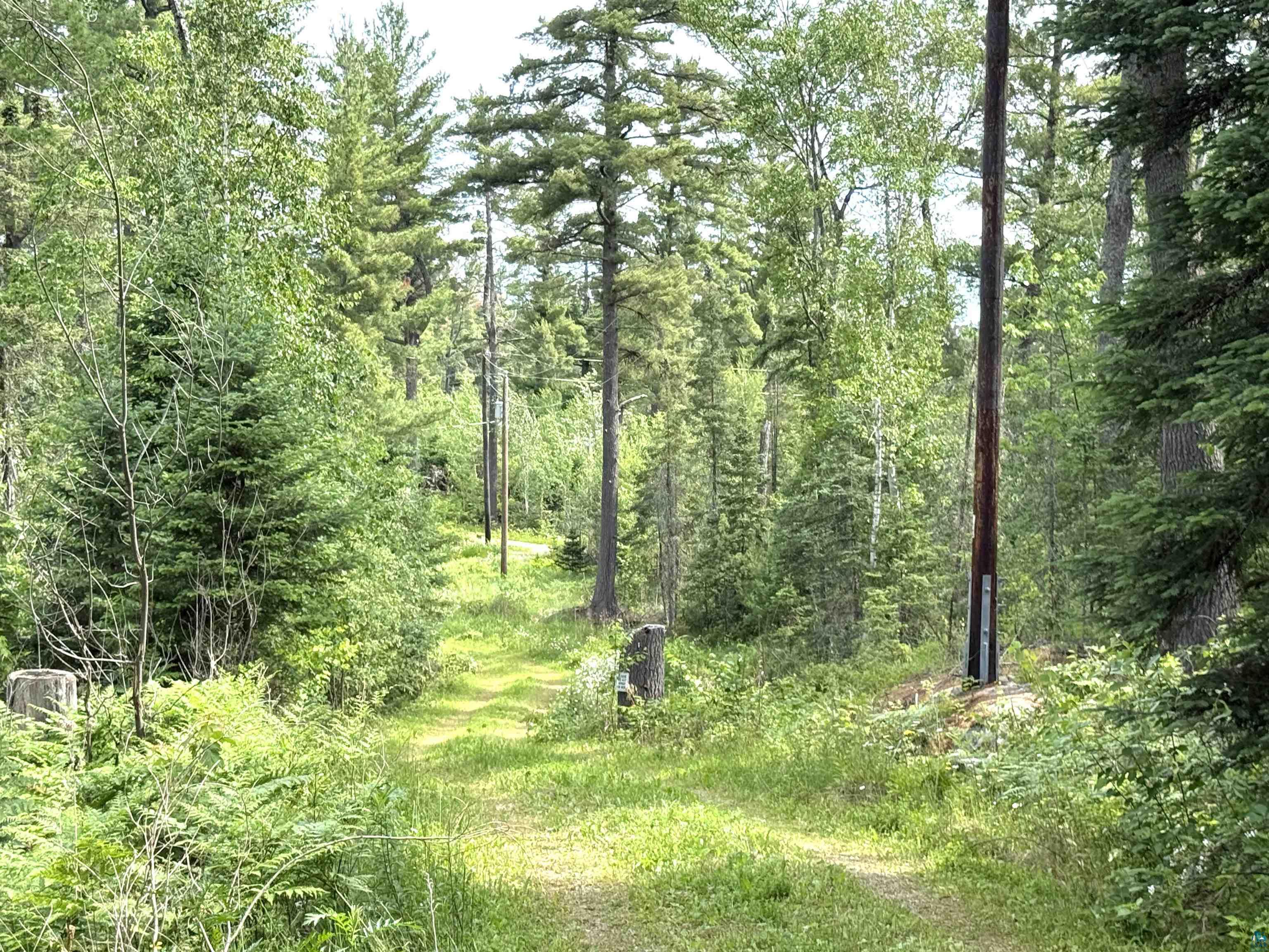 1648 Golden Rdg Trail Ely, MN 55731 - Photo 13 of 19
