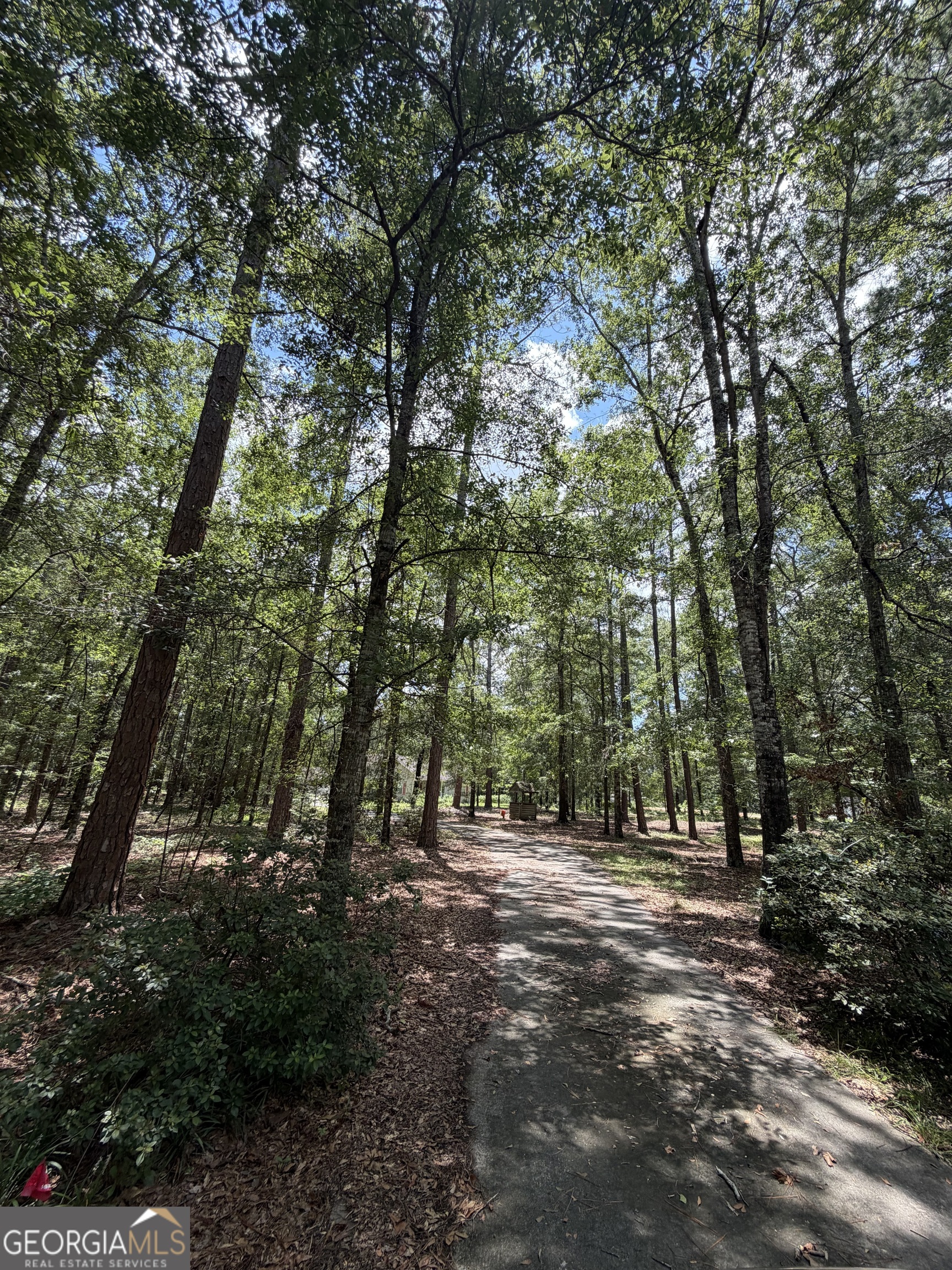 233 Veal Lane Dublin, GA 31021 - Photo 2 of 8 Drive way
