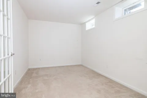 a view of a backyard with plants and large tree