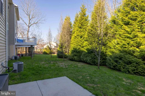 a view of a park with large trees
