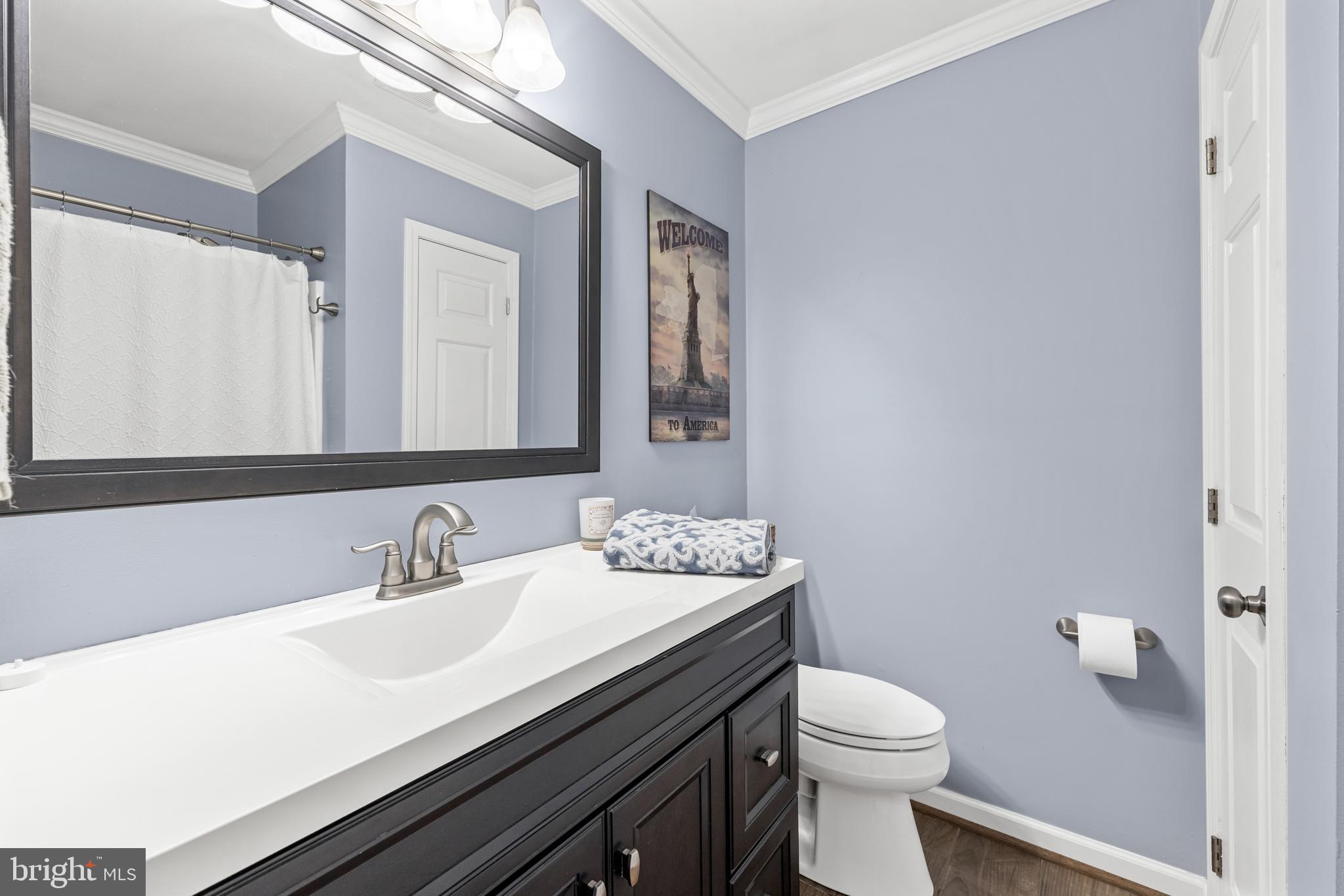1425 Jacks Shop Road Rochelle, VA 22738 - Photo 27 of 56 a bathroom with a sink toilet and mirror