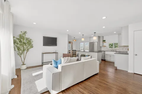 a living room with furniture and a potted plant