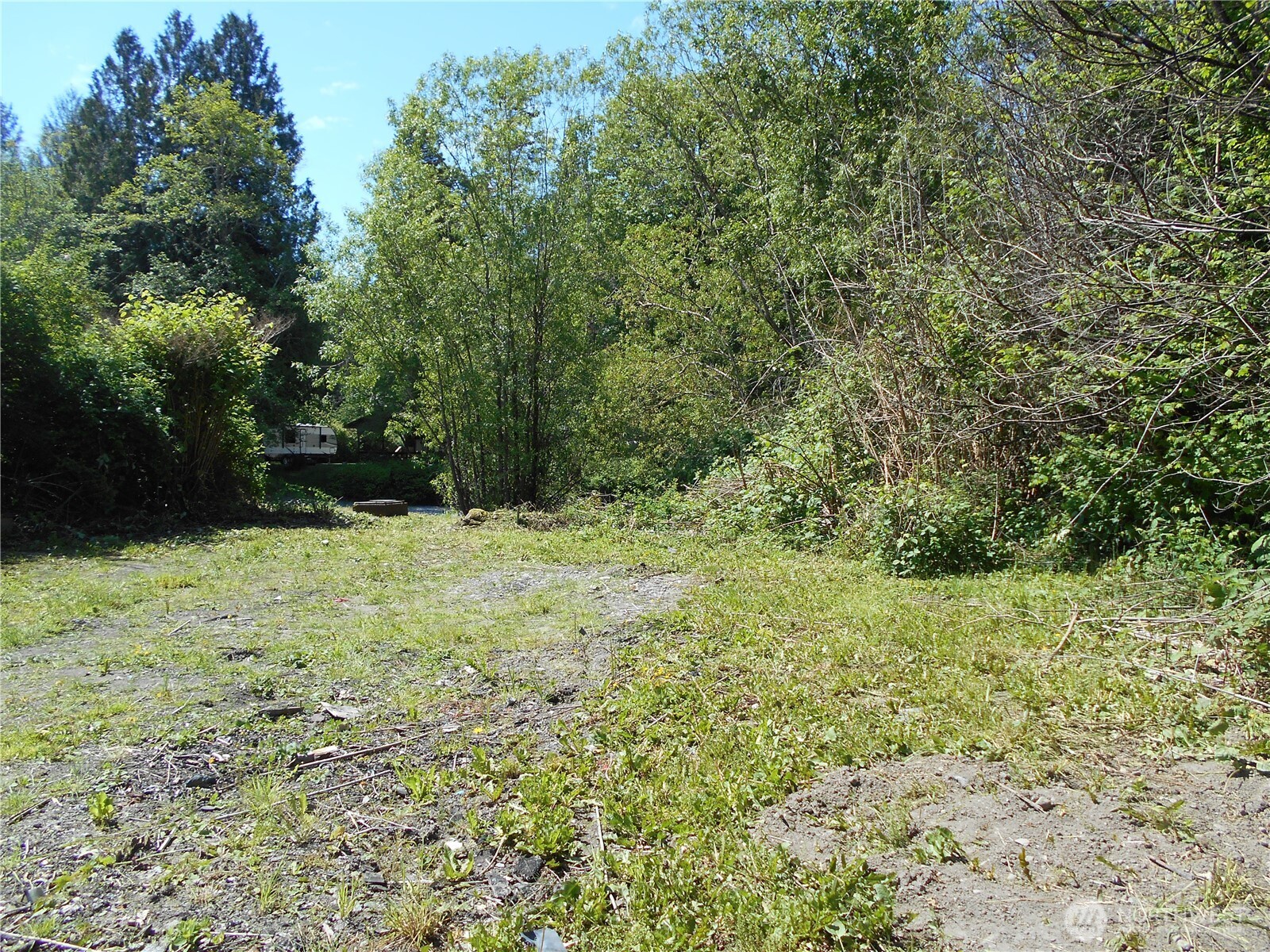 170 Kelly Road Brinnon, WA 98320 - Photo 13 of 29 a view of outdoor space and yard