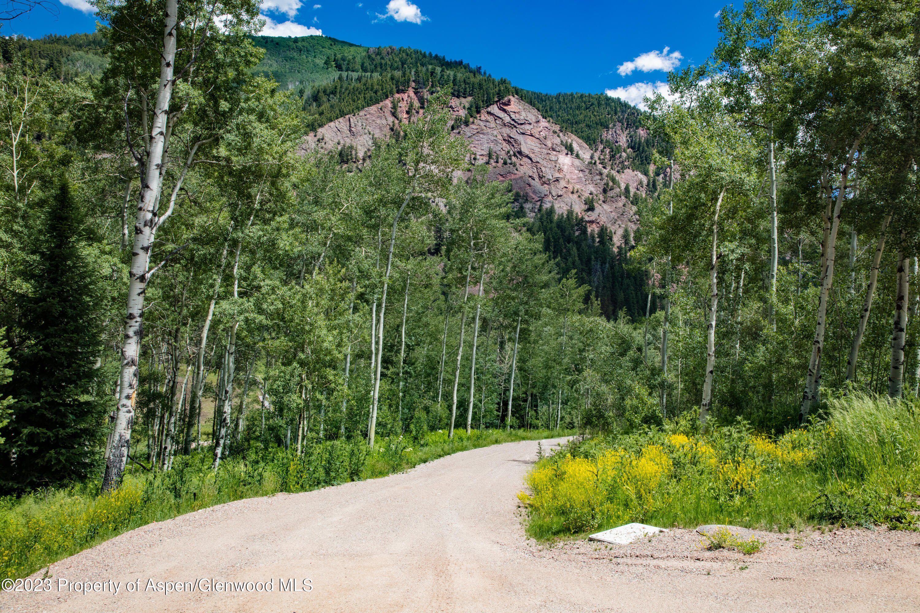 640 South Hayden Road Aspen, CO 81611 - Photo 20 of 42 6g