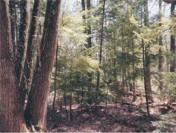 5 Del Chadbourne Road Bridgton, ME 04009 - Photo 1 of 4