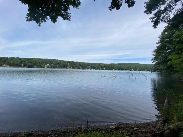 18 Maria Drive Holmes, NY 12531 - Photo 2 of 35 a view of a lake with houses in the back