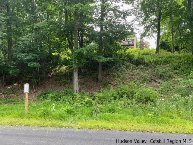 18 Maria Drive Holmes, NY 12531 - Photo 32 of 35 a backyard of a house with lots of green space