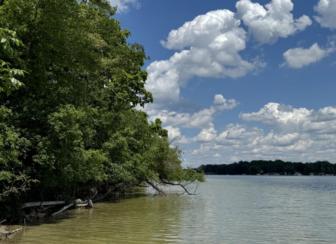 5160 Merriman Road Jackson, MI 49201 - Photo 98 of 124 IMG_6041