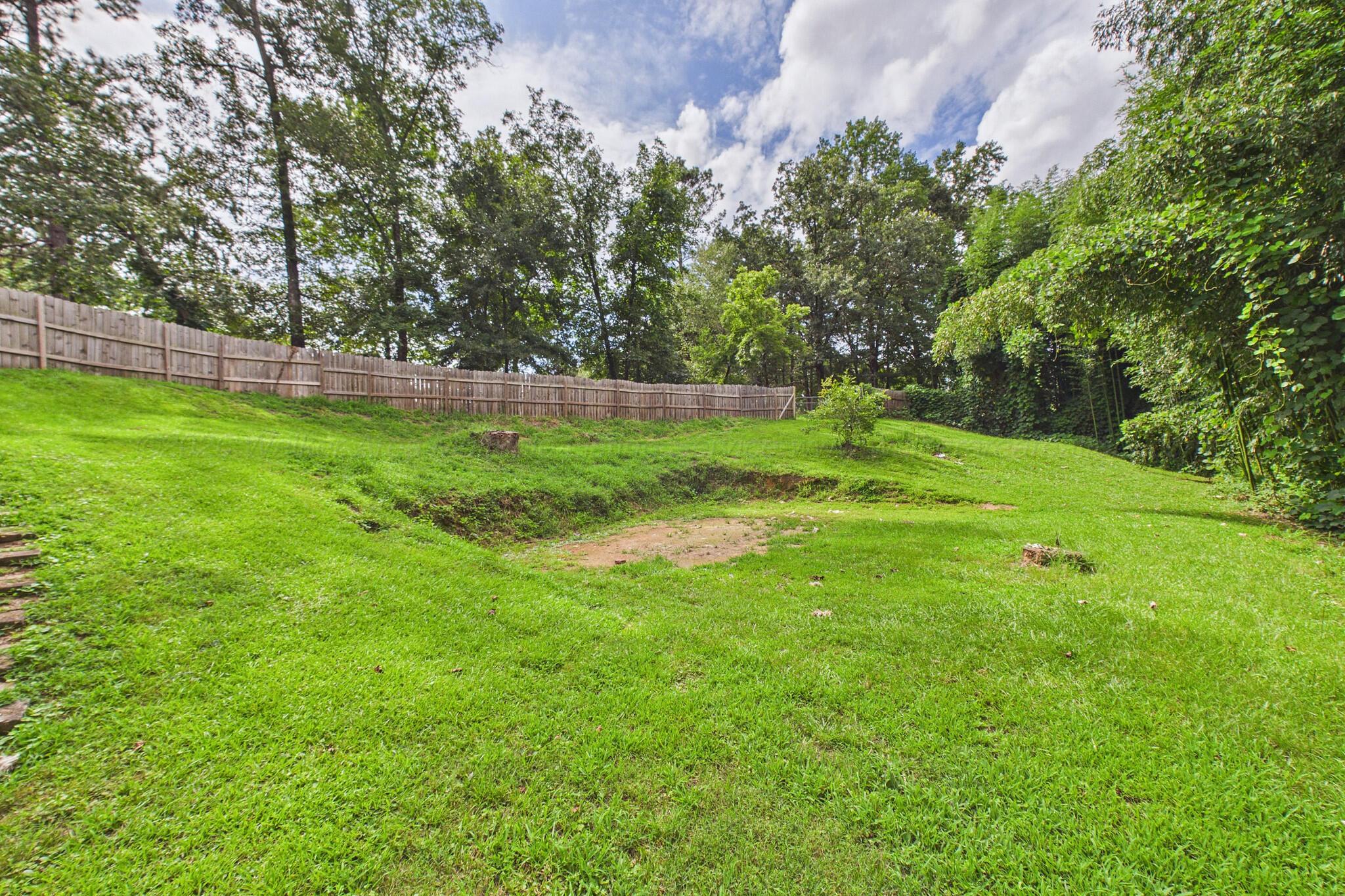 109 Sargent Road Cordova, AL 35550 - Photo 33 of 42 Gallery Image 33