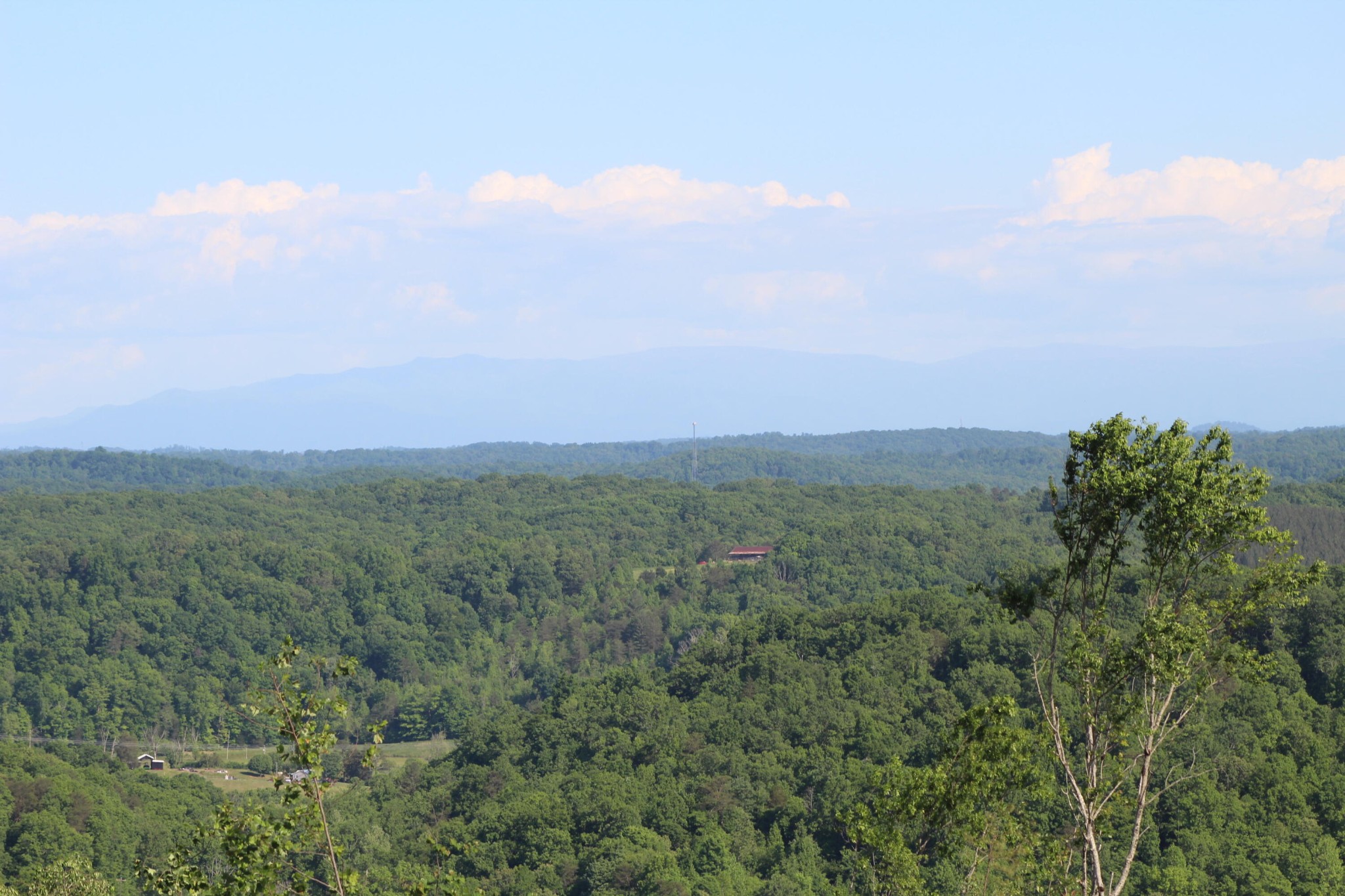 2 Dogtown Road Ten Mile, TN 37880 - Photo 23 of 33 Gallery Image 23