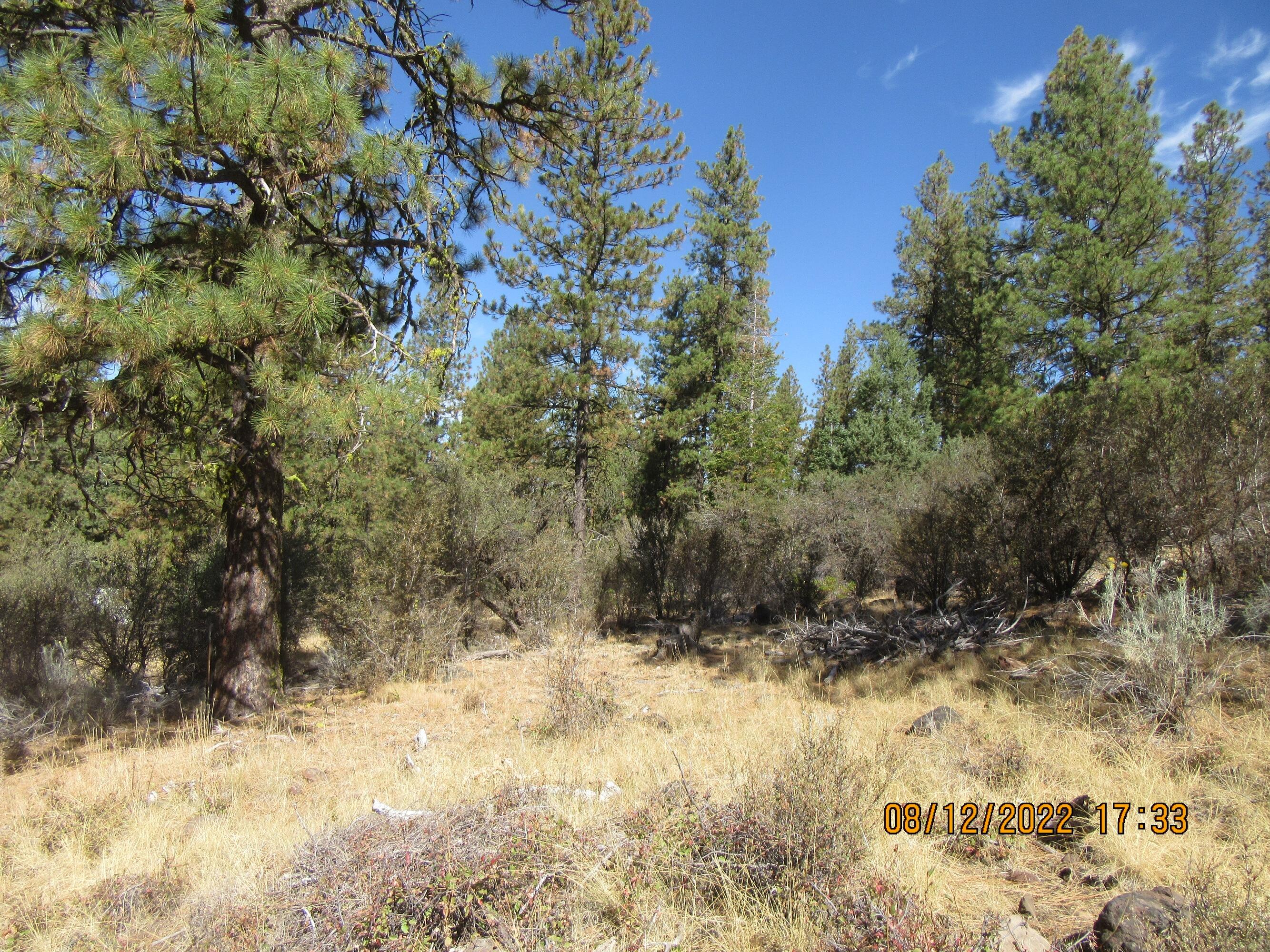 Lot 2 Tiger Lane Bonanza, OR 97623 - Photo 1 of 12 Tiger 2