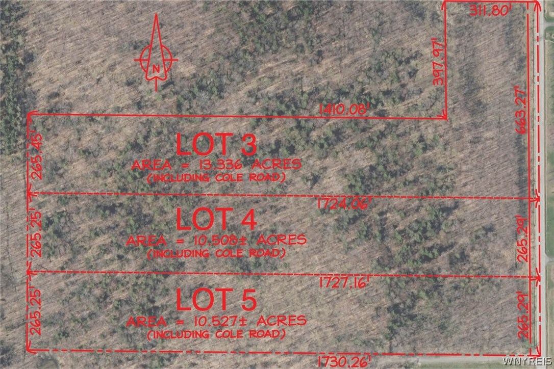 V/l Cole Road Colden, NY 14033 - Photo 1 of 1