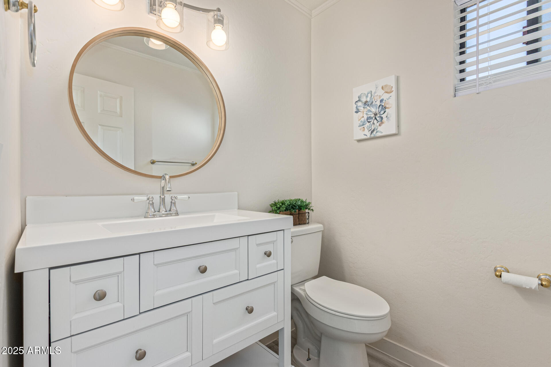 4933 East Downing Street Mesa, AZ 85205 - Photo 18 of 44 a bathroom with a toilet a sink and mirror