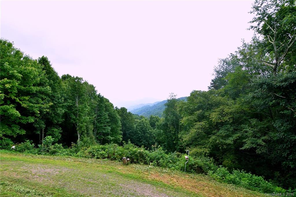 844 Rough Knob Road Clyde, NC 28721 - Photo 3 of 23 Gallery Image 3