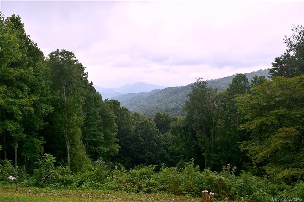 844 Rough Knob Road Clyde, NC 28721 - Photo 23 of 23 Gallery Image 23