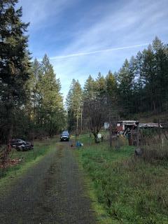 716 Porter Creek Road Winston, OR 97496 - Photo 5 of 11 IMG_8501