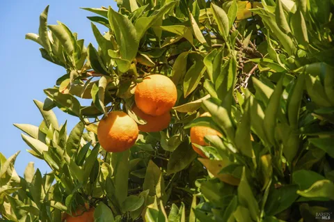 $2,150,000 | 28 Twin Oaks Avenue, San Rafael, CA 94901