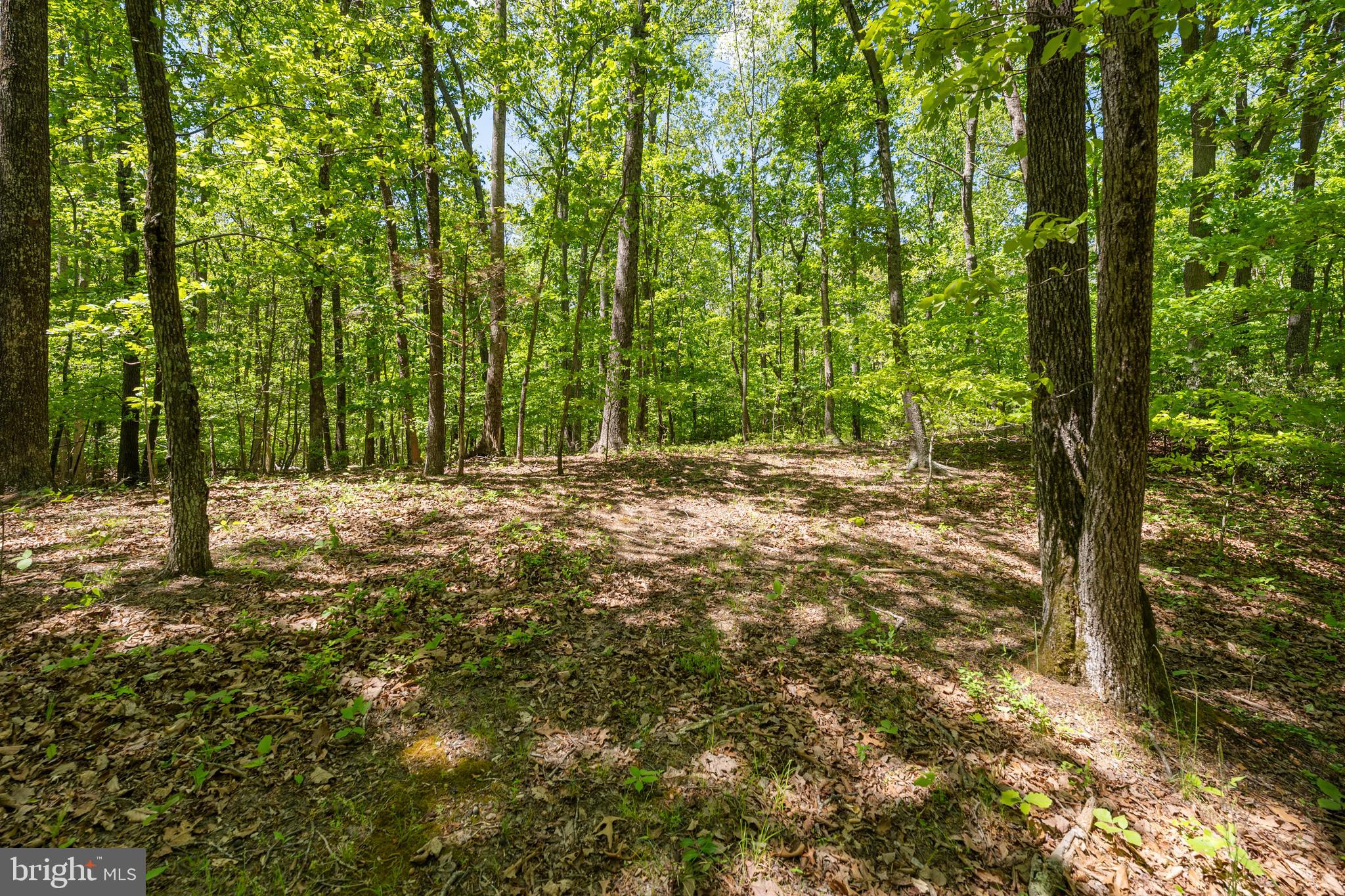 Letcher Road East Brandywine, MD 20613 - Photo 2 of 7 a view of outdoor space and yard