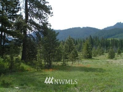 L17 B Old Cedars Road Cle Elum, WA 98922 - Photo 2 of 3