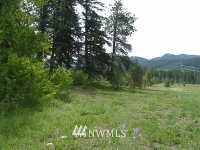 L17 B Old Cedars Road Cle Elum, WA 98922 - Photo 3 of 3
