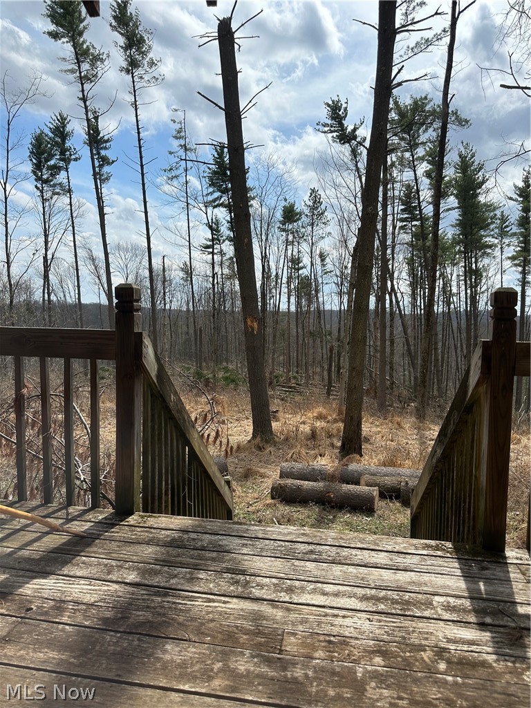 44800 Jim Stimpert Road Lewisville, OH 43754 - Photo 20 of 49 View from cabin deck
