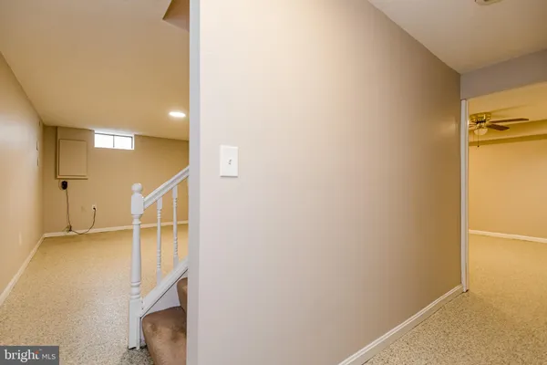 a view of a trees and trees