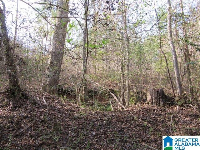 229 County Road, Unit 29 Thorsby, AL 35171 - Photo 23 of 23