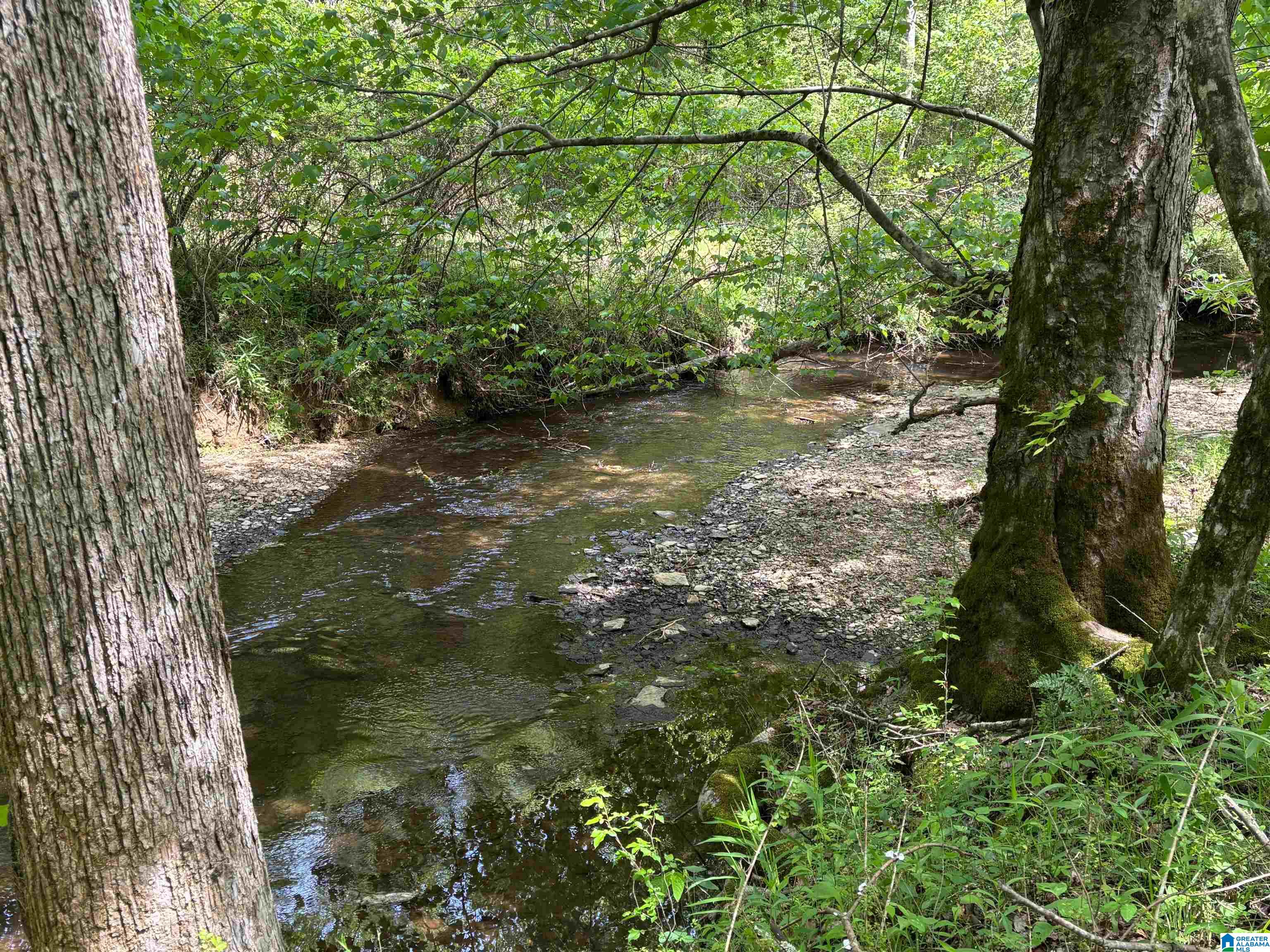 498 Blackwood Road, Unit 14 9 ACRES Parrish, AL 35580 - Photo 12 of 50