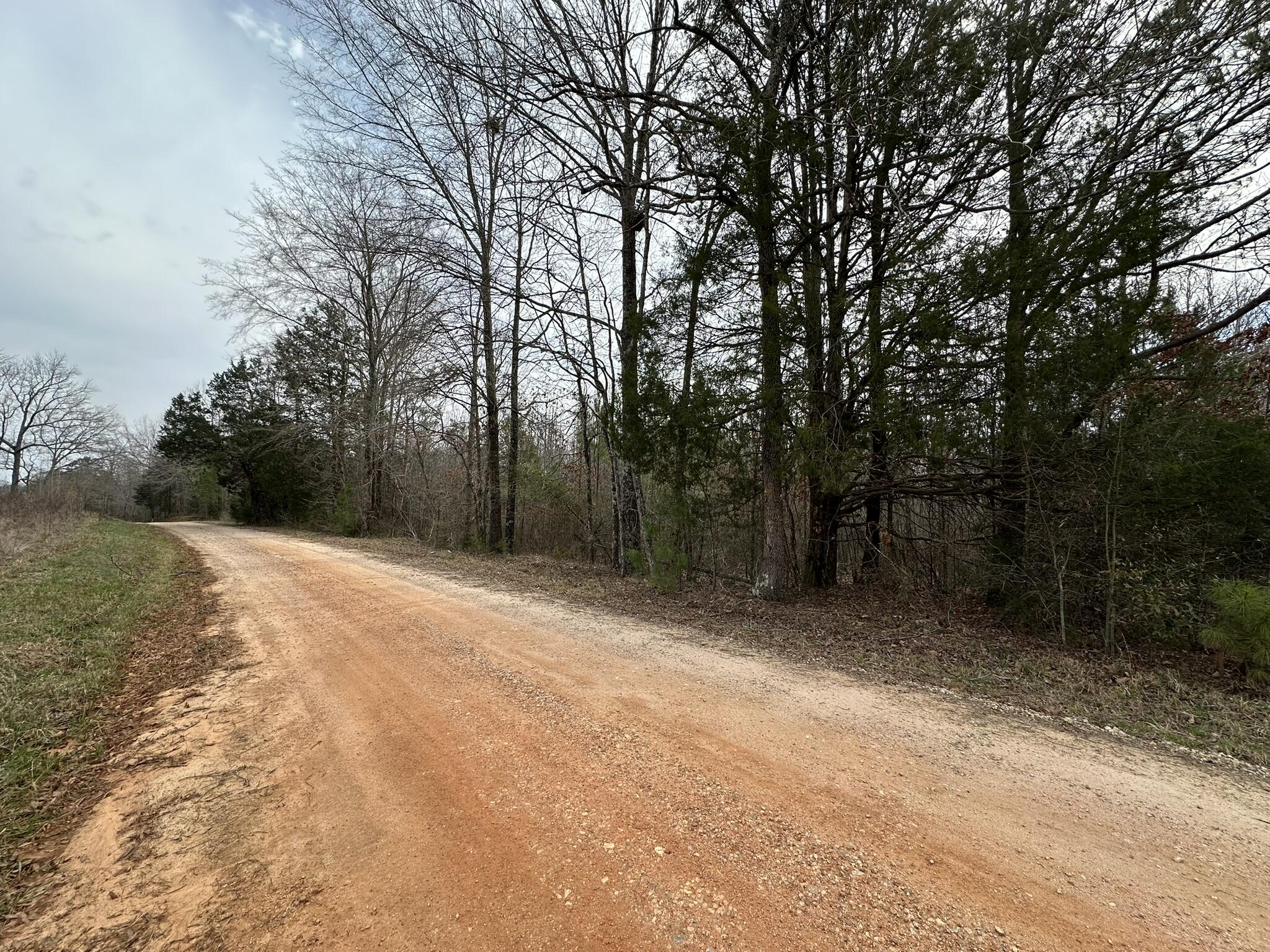 518 Weaghington Road Bradley, SC 29819 - Photo 1 of 52 Road Frontage