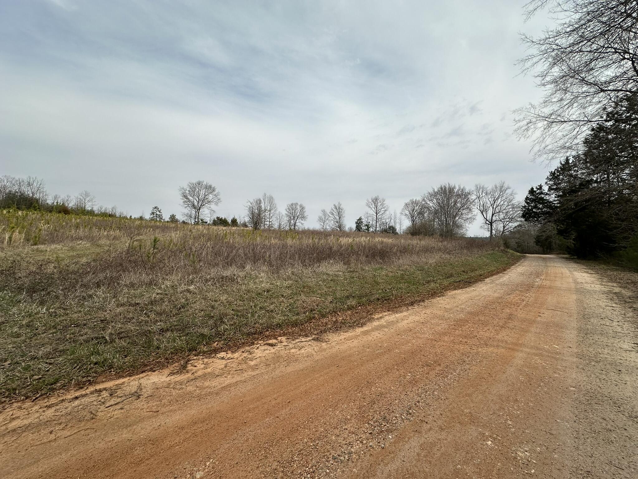518 Weaghington Road Bradley, SC 29819 - Photo 2 of 52 IMG_7628