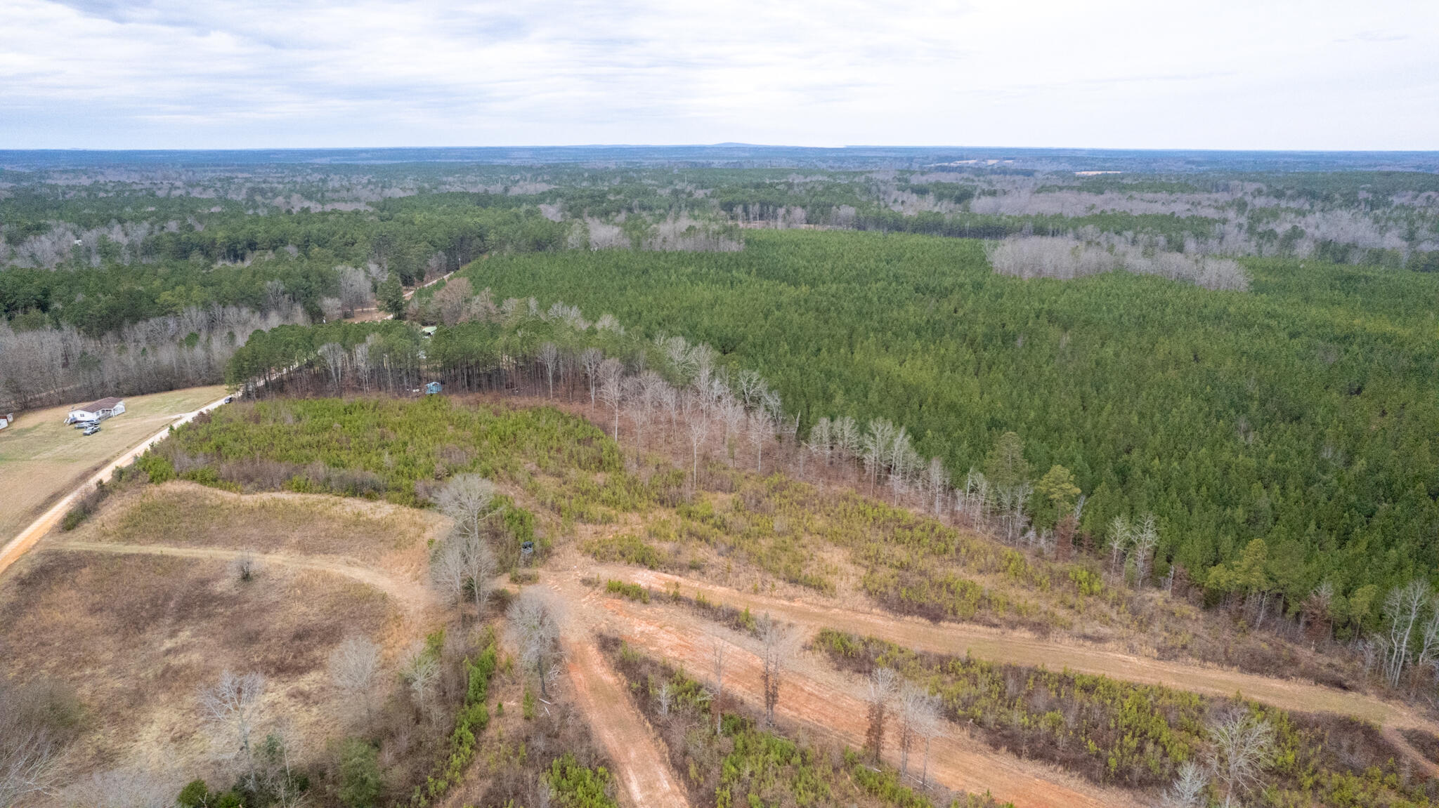 518 Weaghington Road Bradley, SC 29819 - Photo 21 of 52 DJI_0113