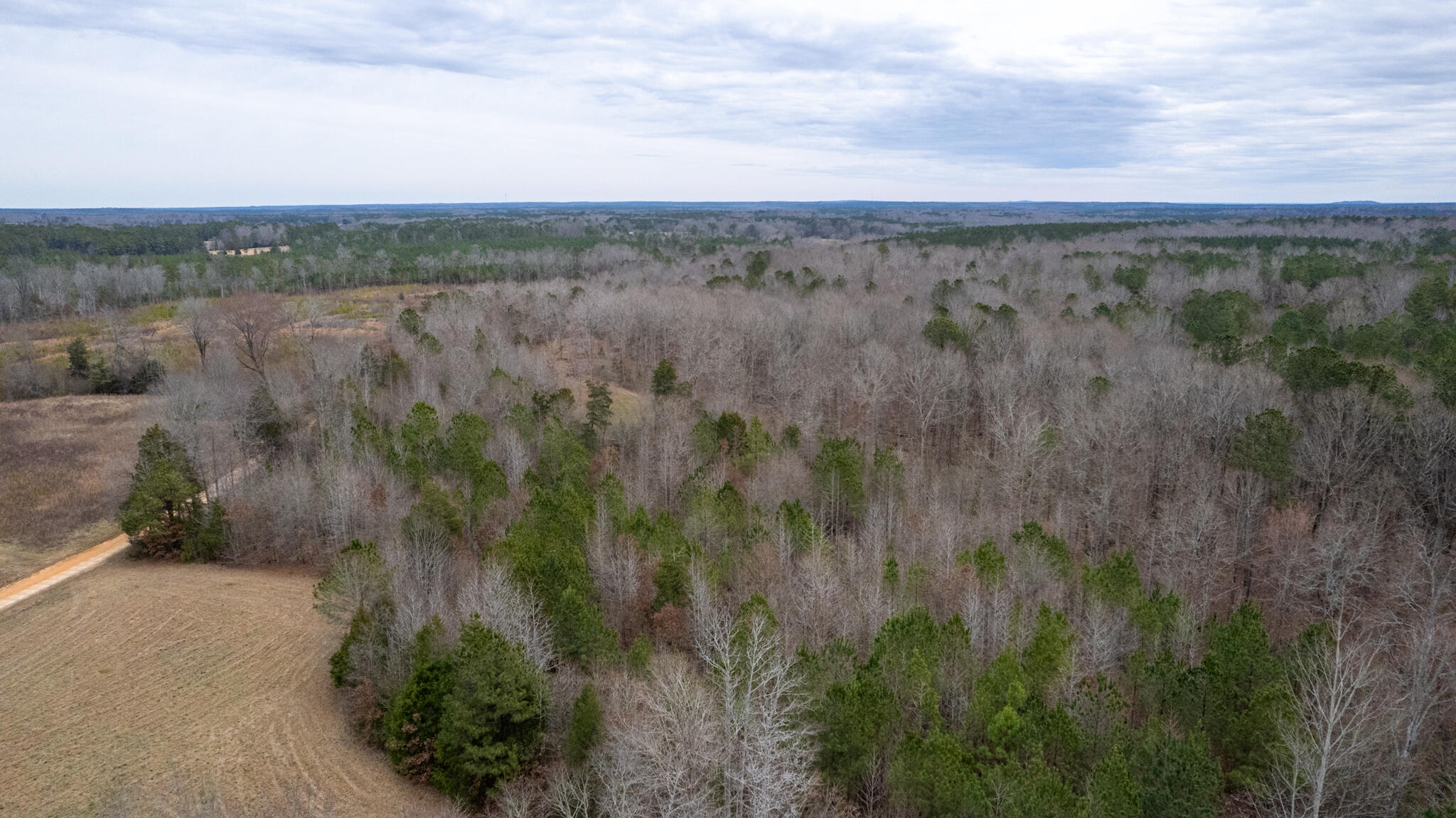 518 Weaghington Road Bradley, SC 29819 - Photo 34 of 52 DJI_0139