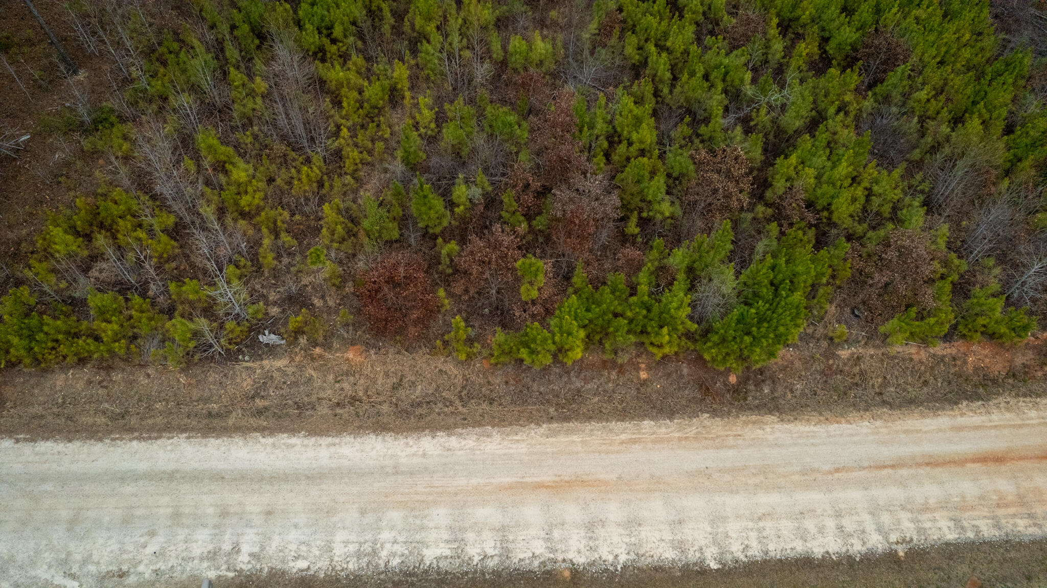 518 Weaghington Road Bradley, SC 29819 - Photo 8 of 52 DJI_0099