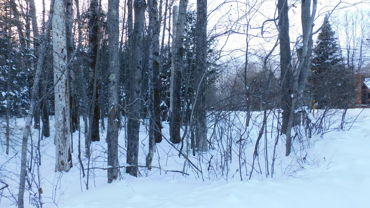 Lot Hilltop Hilltop Road Rhinelander, WI 54501 - Photo 4 of 6 Gallery Image 4