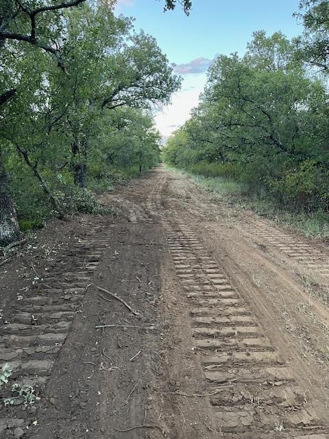 16 Loving Tx 76460 Loving, TX 76460 - Photo 4 of 6 a view of a yard