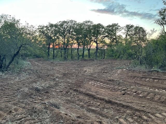 16 Loving Tx 76460 Loving, TX 76460 - Photo 5 of 6 a view of a yard with trees in the background