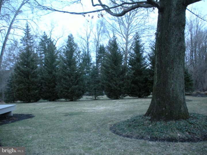 905 Pine Heights Road Reading, PA 19605 - Photo 13 of 15 Side Yard