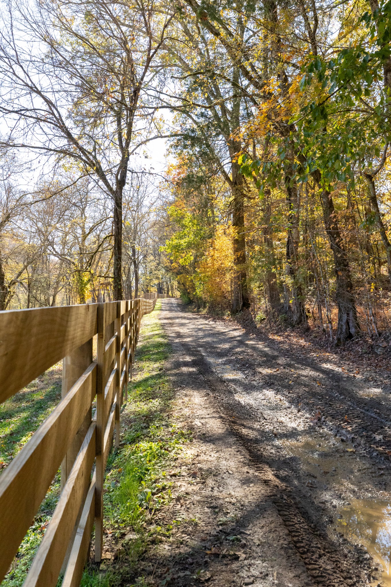 499 Tallent Road Pulaski, TN 38478 - Photo 22 of 38 a view of a yard with wooden fence