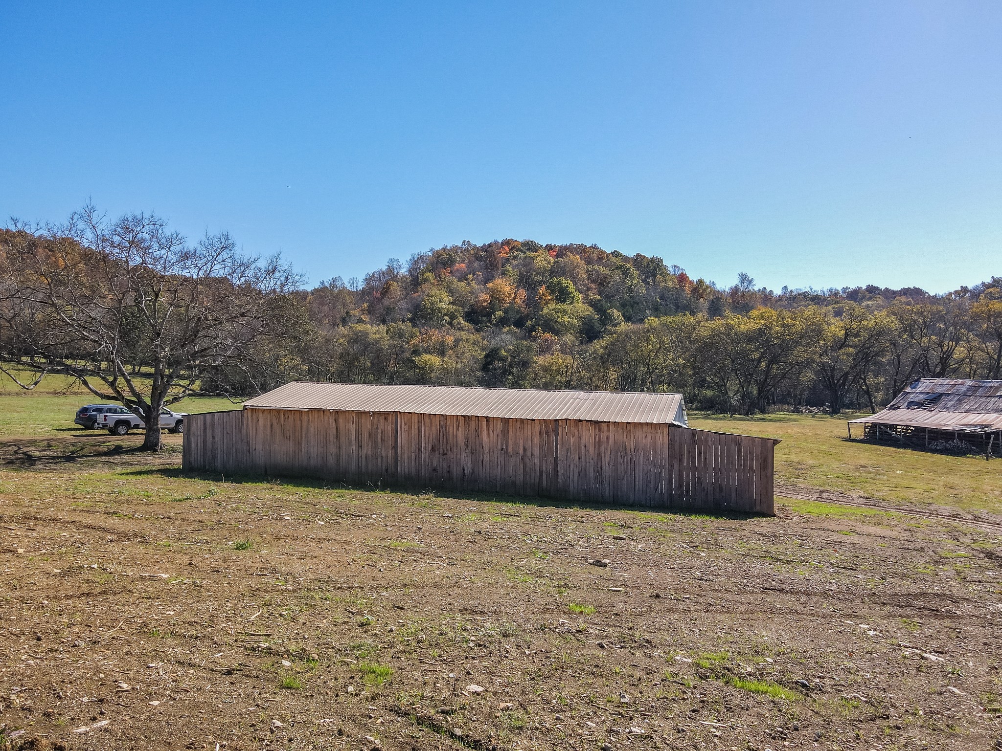 499 Tallent Road Pulaski, TN 38478 - Photo 27 of 38 a view of a backyard with a large tree